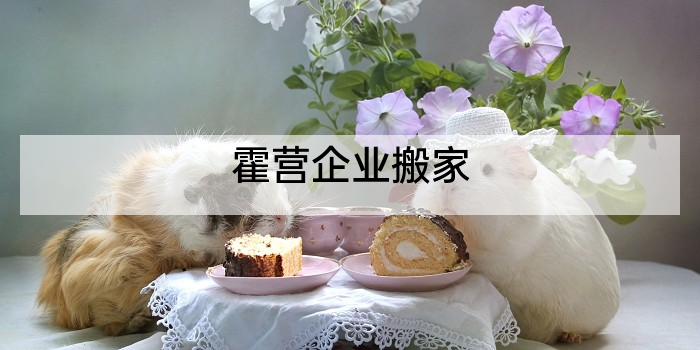 霍营企业搬家