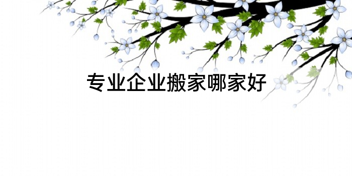 专业企业搬家哪家好