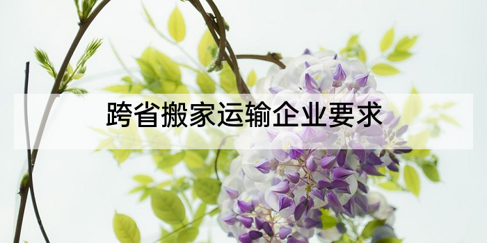 跨省搬家运输企业要求