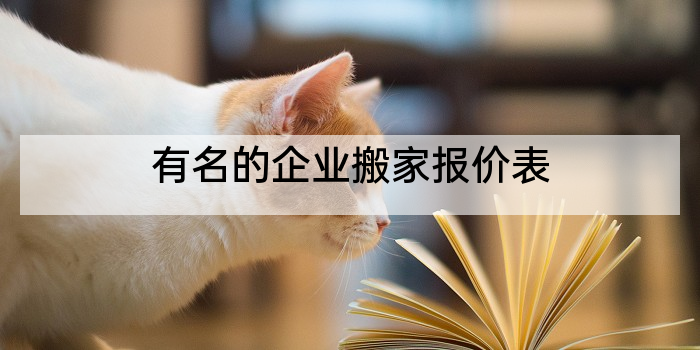有名的企业搬家报价表