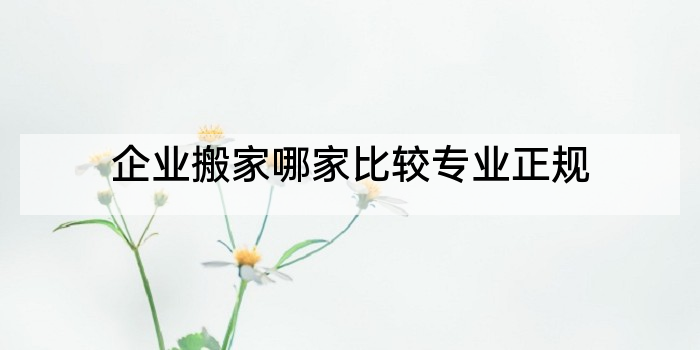 企业搬家哪家比较专业正规