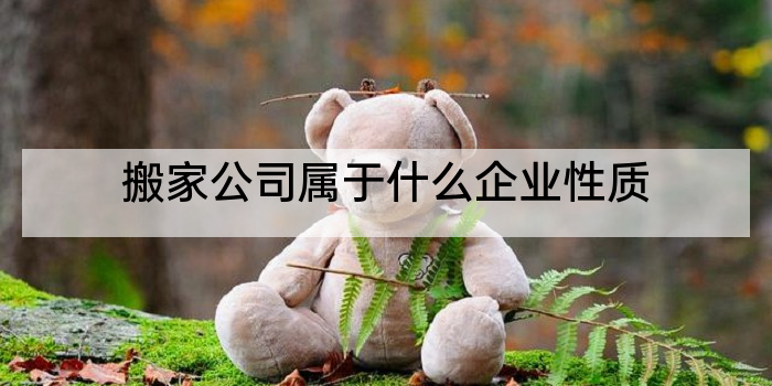 搬家公司属于什么企业性质
