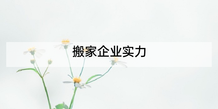 搬家企业实力
