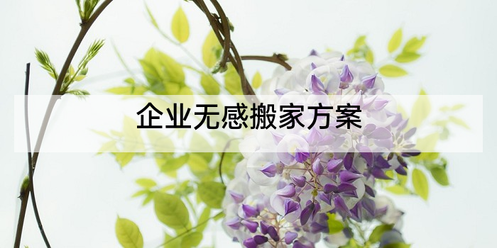 企业无感搬家方案
