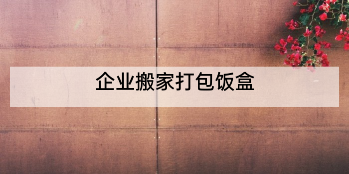 企业搬家打包饭盒