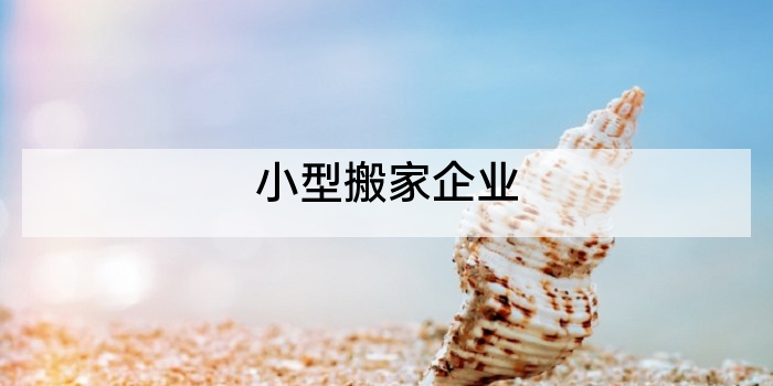 小型搬家企业