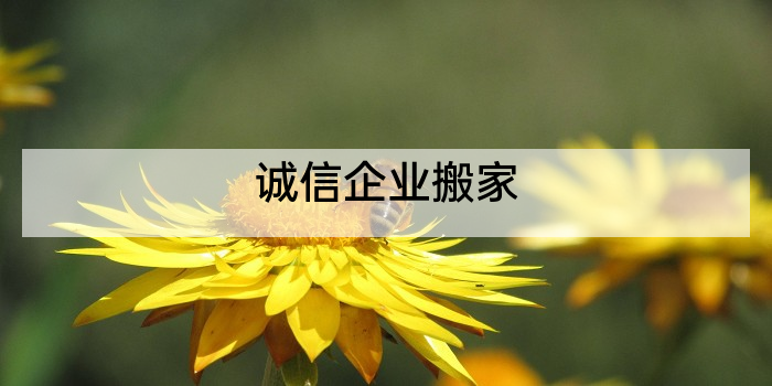 诚信企业搬家