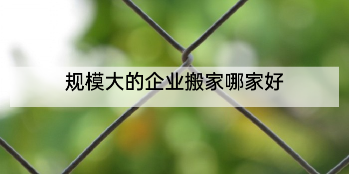 规模大的企业搬家哪家好