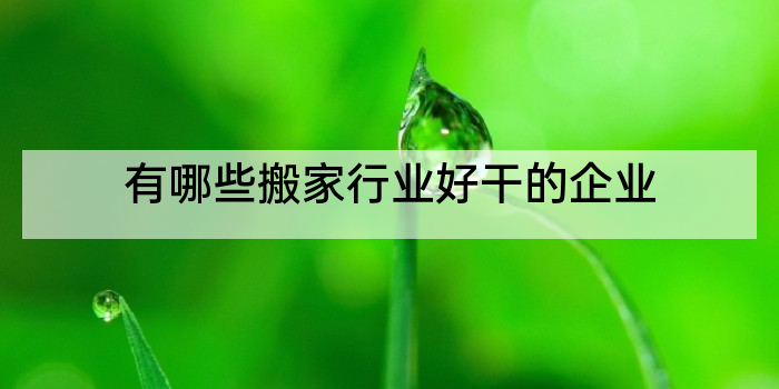 有哪些搬家行业好干的企业