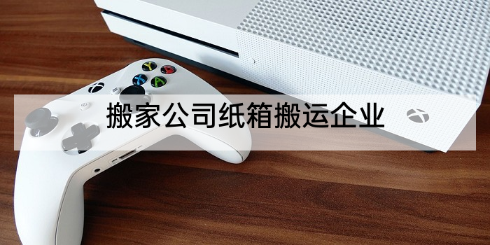 搬家公司纸箱搬运企业