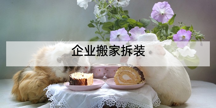 企业搬家拆装