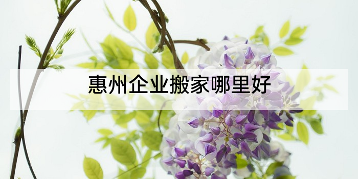 惠州企业搬家哪里好