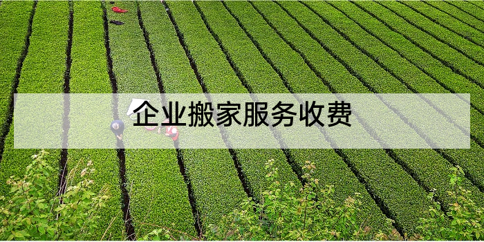 企业搬家服务收费