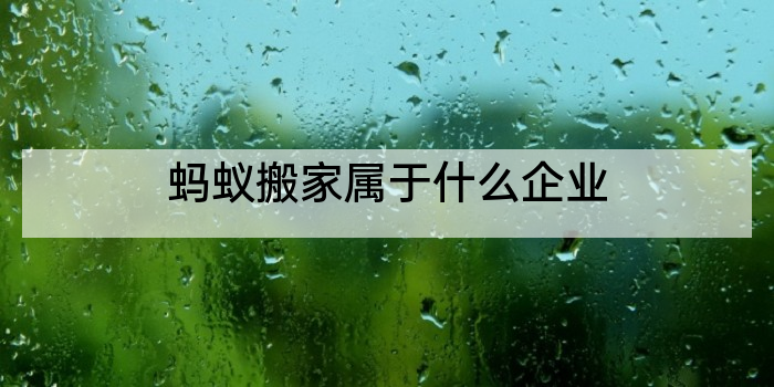 蚂蚁搬家属于什么企业