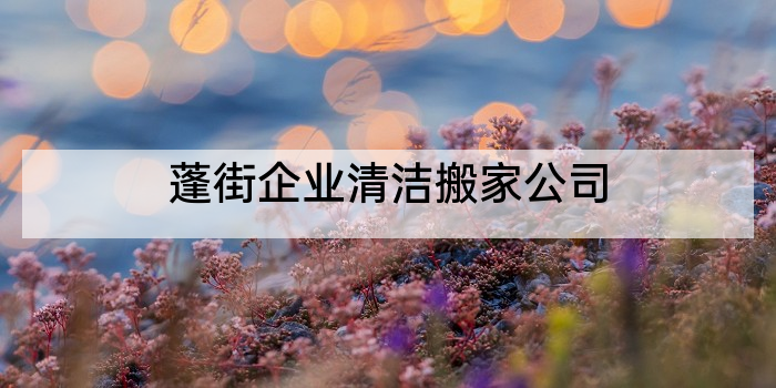 蓬街企业清洁搬家公司
