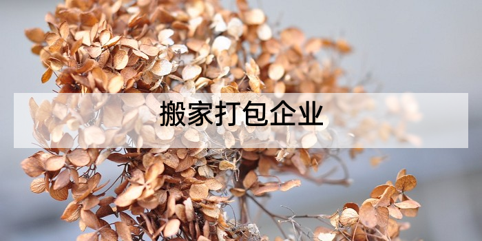 搬家打包企业