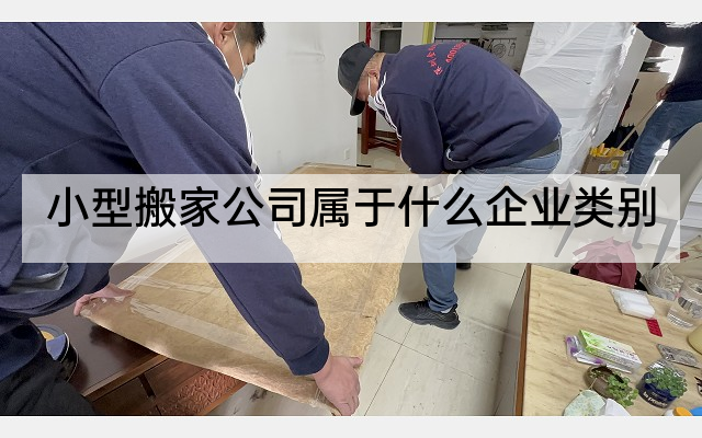 小型搬家公司属于什么企业类别