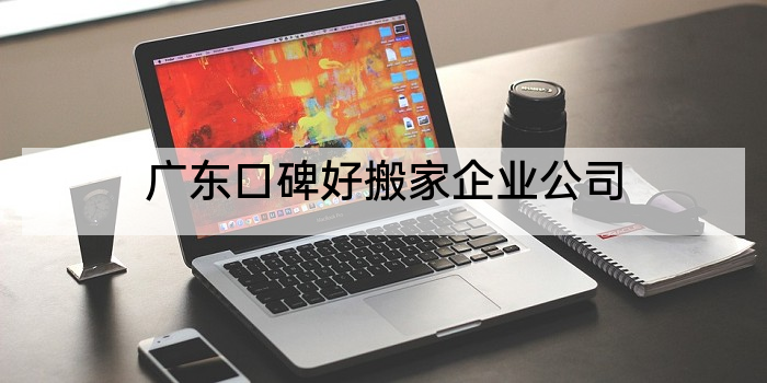 广东口碑好搬家企业公司