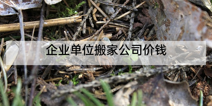 企业单位搬家公司价钱