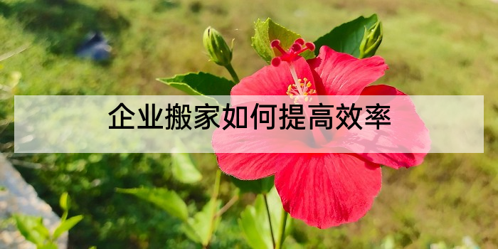 企业搬家如何提高效率