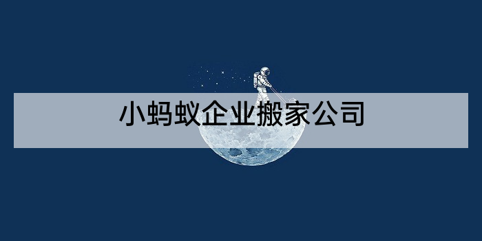 小蚂蚁企业搬家公司