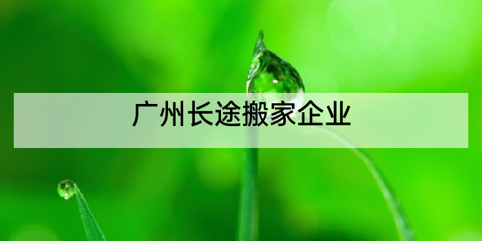 广州长途搬家企业