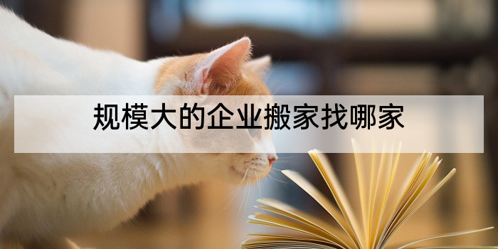 规模大的企业搬家找哪家