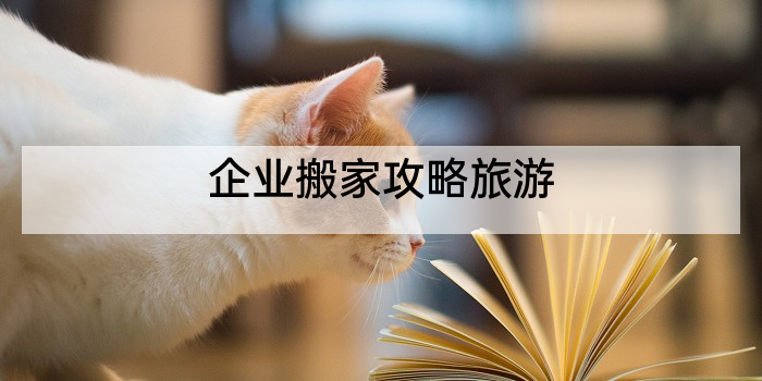 企业搬家攻略旅游