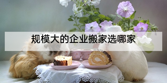 规模大的企业搬家选哪家