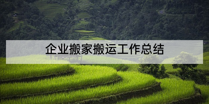 企业搬家搬运工作总结
