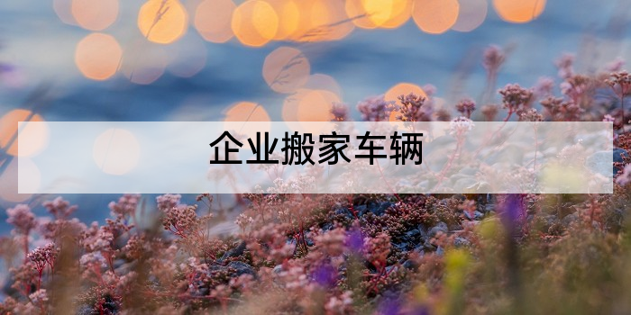 企业搬家车辆