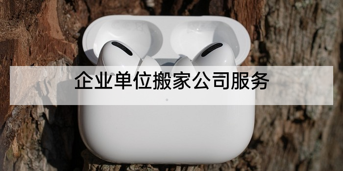企业单位搬家公司服务