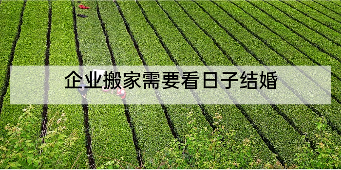 企业搬家需要看日子结婚