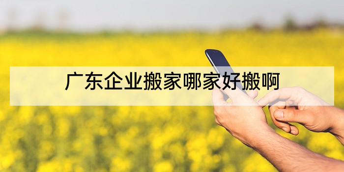 广东企业搬家哪家好搬啊