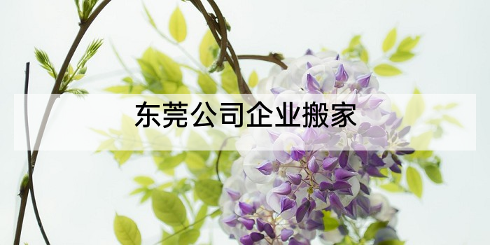东莞公司企业搬家