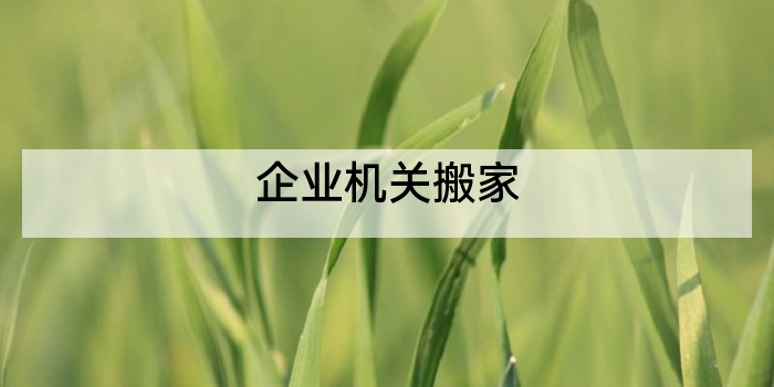 企业机关搬家