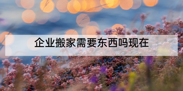 企业搬家需要东西吗现在