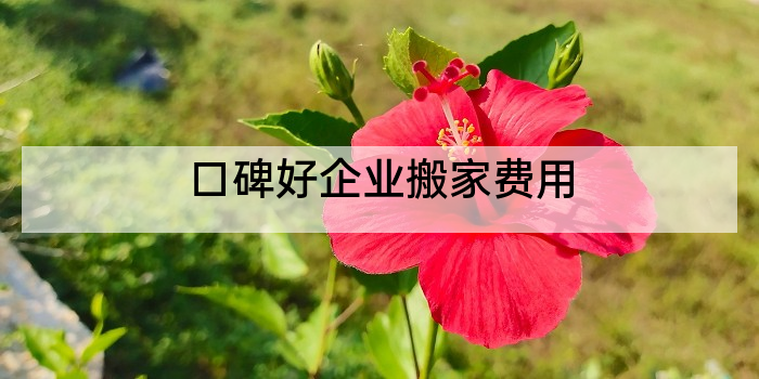 口碑好企业搬家费用