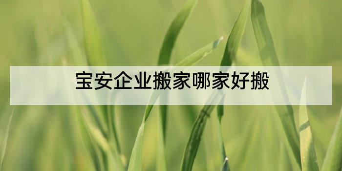 宝安企业搬家哪家好搬
