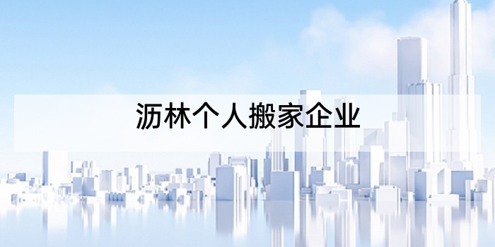 沥林个人搬家企业